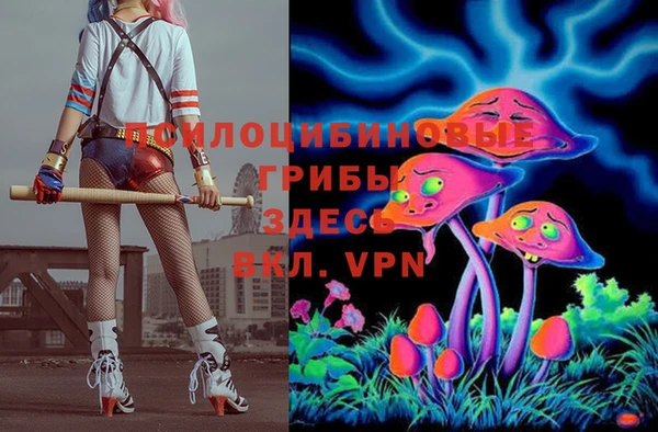 синтетический гашиш Костерёво