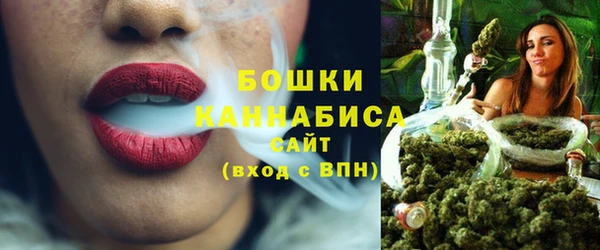 хмурый Верея