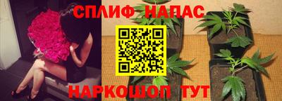 кокс Донецк