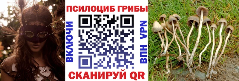 Псилоцибиновые грибы GOLDEN TEACHER  Коркино 