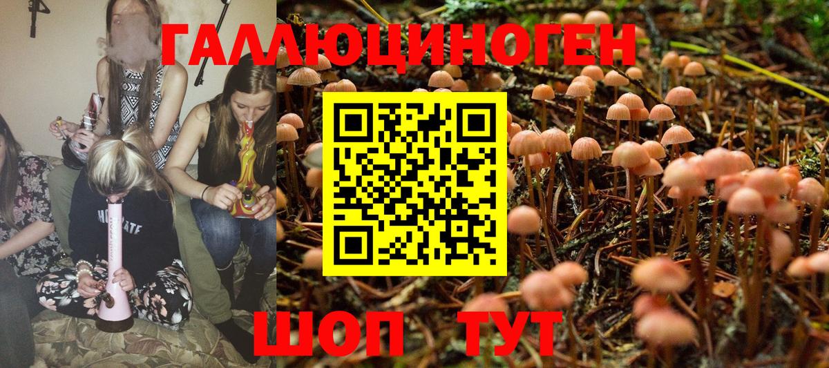 Псилоцибиновые грибы ЛСД Коркино