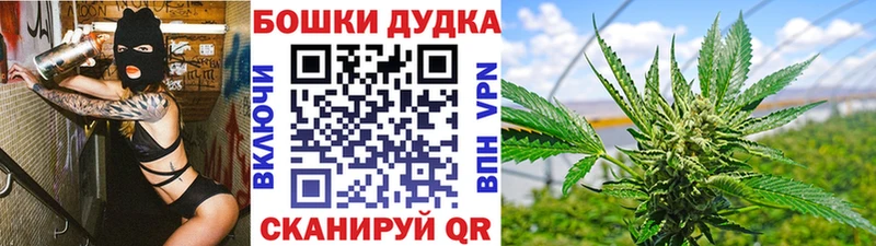 Каннабис планчик  Коркино 